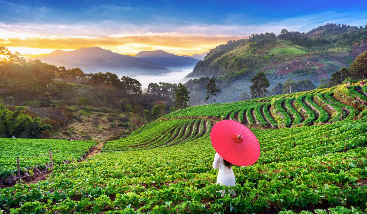 asian-woman-wearing-vietnam-culture-traditional-in-2026-01-11-08-39-13-utc