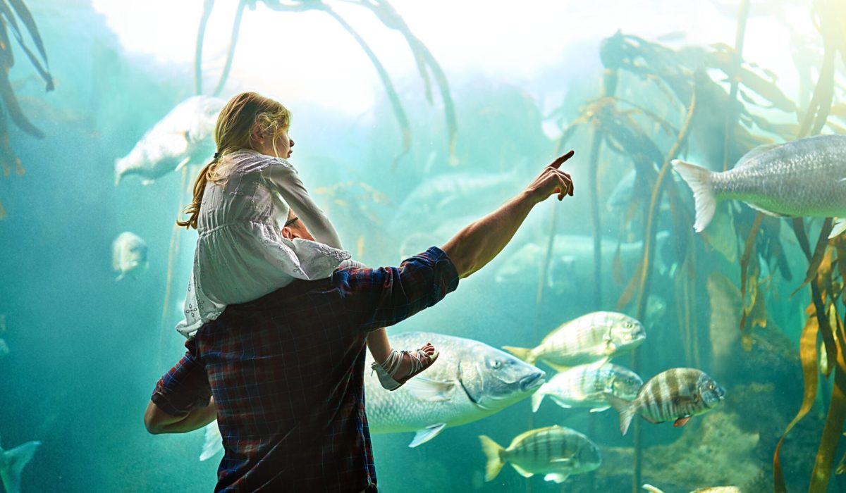 Cropped shot of a father and his little daughter looking at an exhibit in an aquarium.