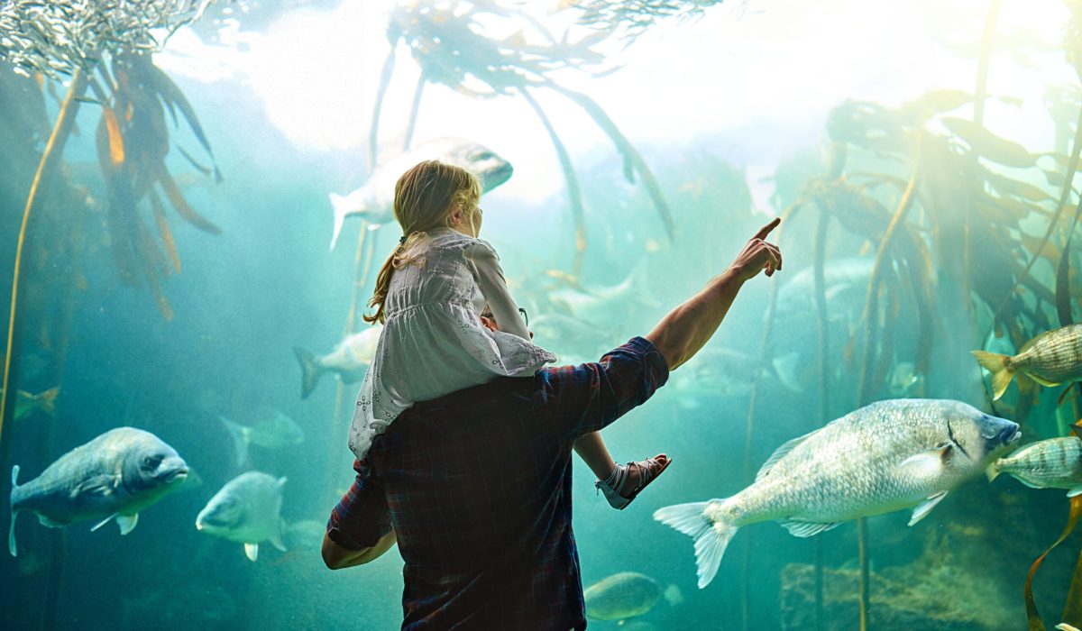 Cropped shot of a father and his little daughter looking at an exhibit in an aquarium.
